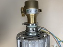 REF Motor y Bomba de Agua 220V